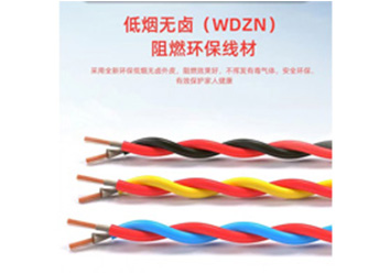 WDZN-RYJS 型號：(2芯) 0.75mm²²～4mm²²